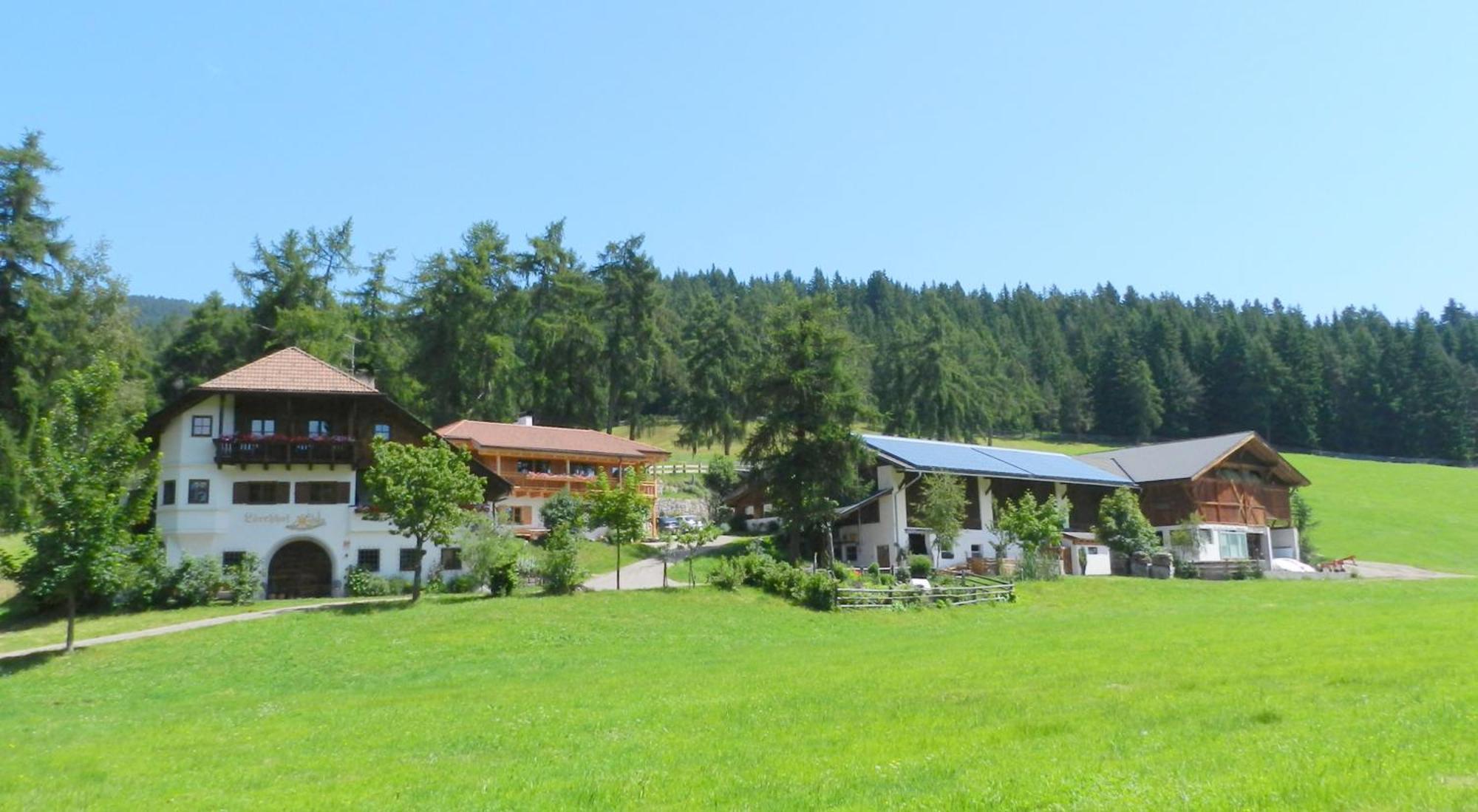 Laerchhof Villa Collalbo Eksteriør bilde