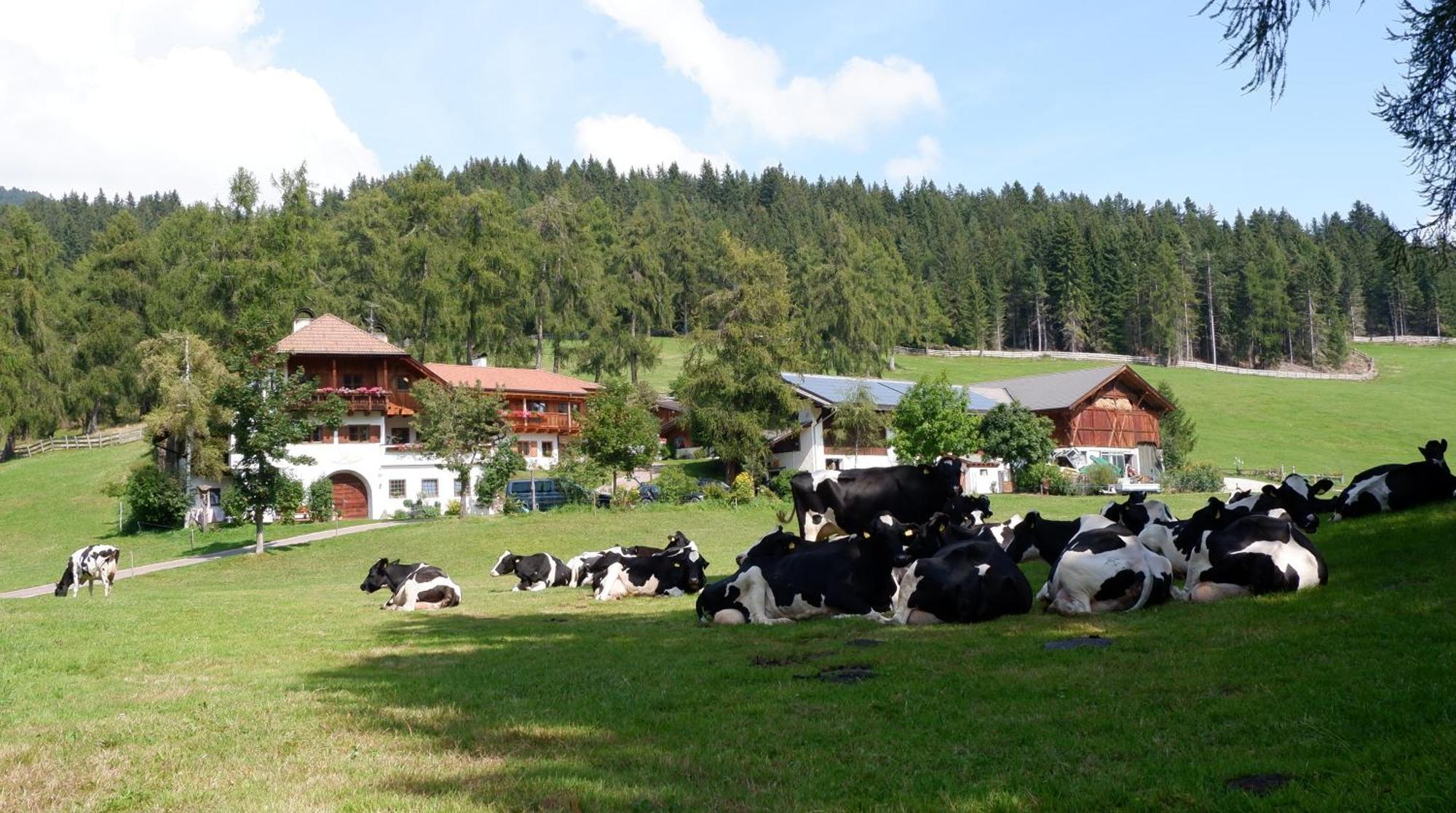 Laerchhof Villa Collalbo Eksteriør bilde