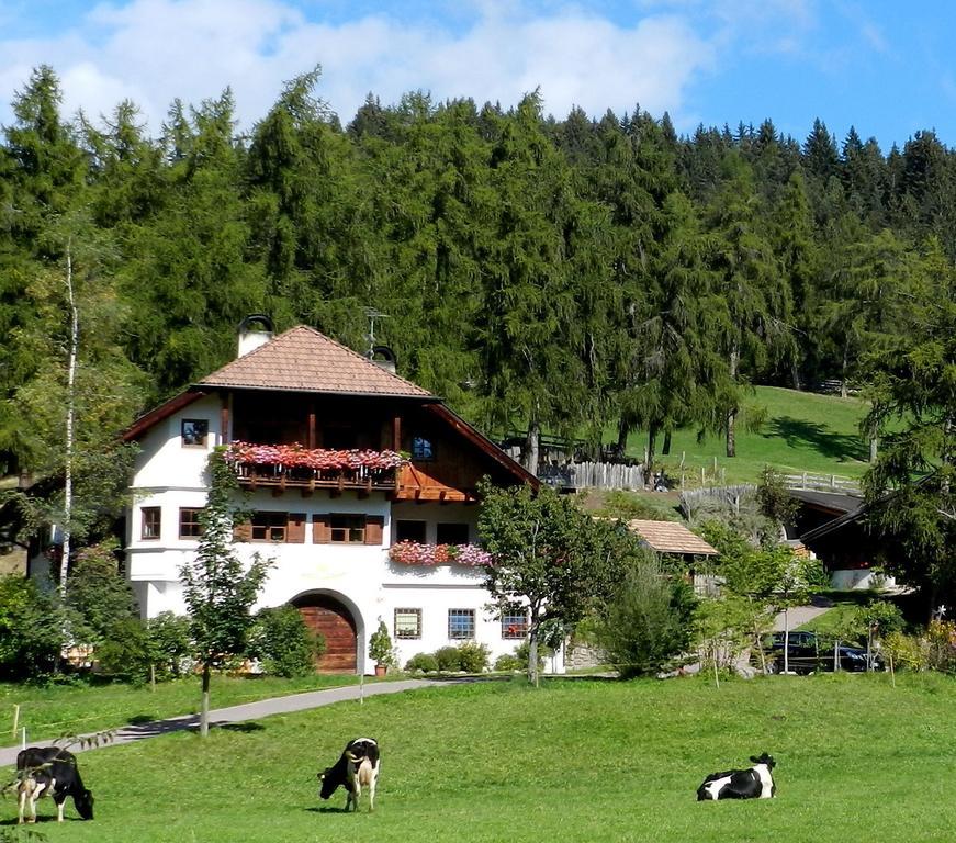 Laerchhof Villa Collalbo Eksteriør bilde